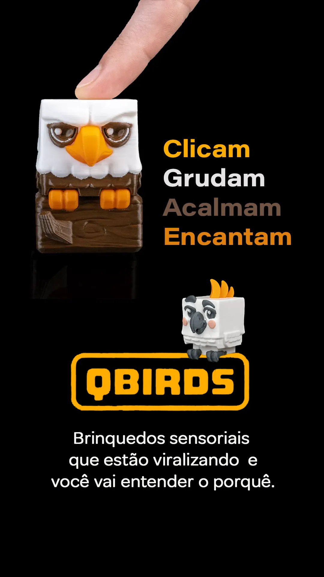 QBIRDS